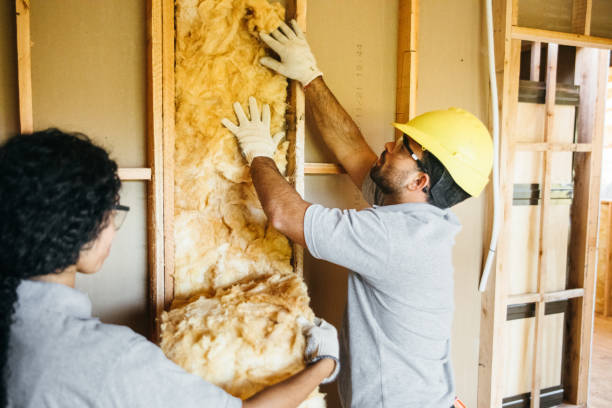 Best Local Insulation Services  in Westlake, TX