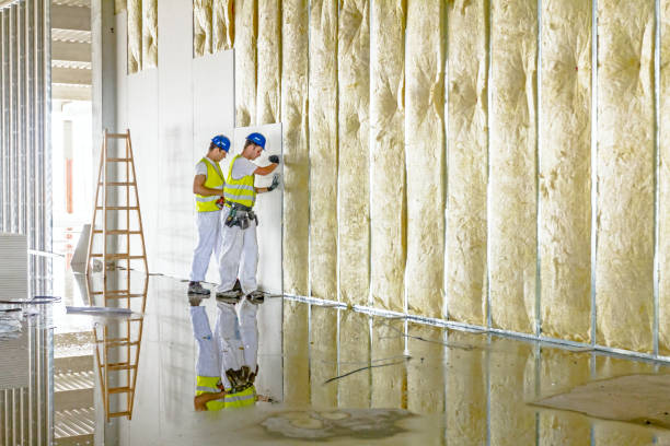 Best Insulation for New Construction  in Westlake, TX